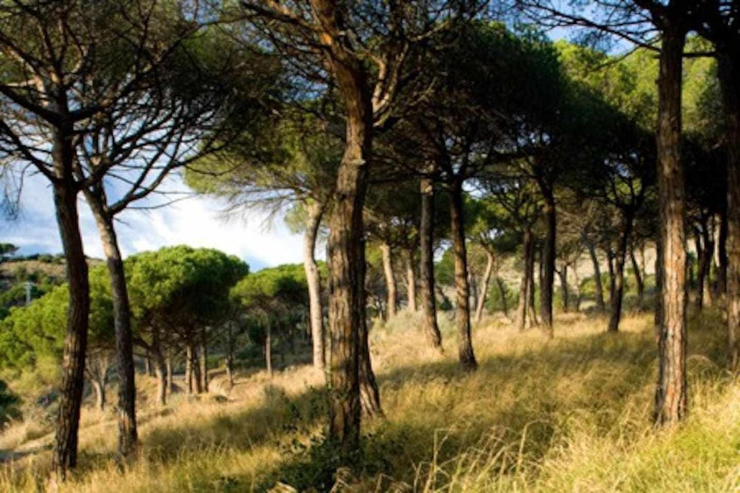 Ca Landreu Ecoturisme Villa Tiana Ngoại thất bức ảnh